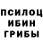 Галлюциногенные грибы Cubensis Sanj A