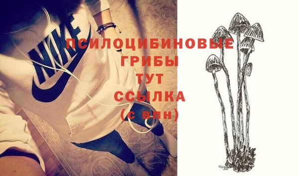 кокс Осташков