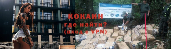 дмт Осинники